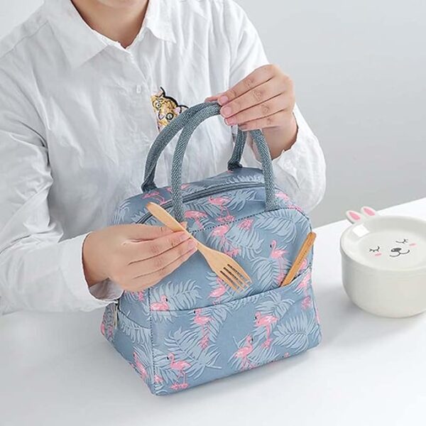 Portable Lunch Bag Insulated Canvas Tote Travel Tiffin Bag |  Lunch Bag for Office, College & School, Pack of 1 | Multi Color - Image 2