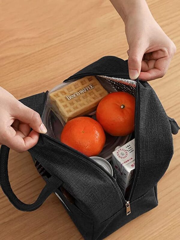Insulated Lunch Bags Small for Women Work, Student Kids to School, Thermal Cooler Tote Bag Picnic Organizer Storage Lunch Box Portable and Reusable | Multi Color - Image 2
