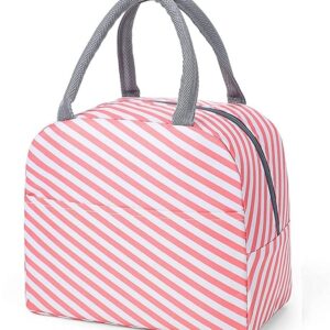 Insulated Lunch Bags Small for Women Work, Student Kids to School, Thermal Cooler Tote Bag Picnic Organizer Storage Lunch Box Portable and Reusable (Pink Stripes)