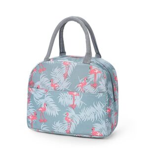 Portable Lunch Bag Insulated Canvas Tote Travel Tiffin Bag |  Lunch Bag for Office, College & School, Pack of 1 | Multi Color