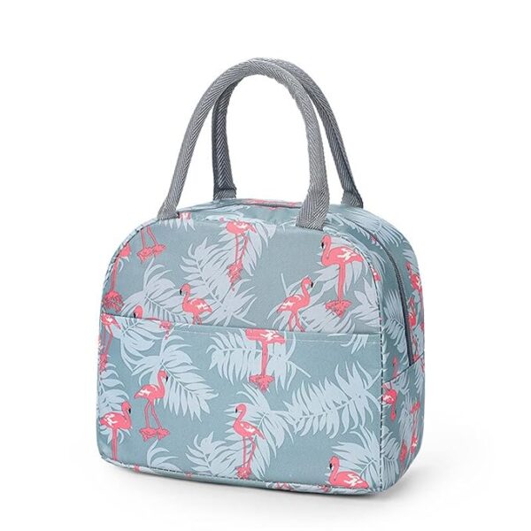 Portable Lunch Bag Insulated Canvas Tote Travel Tiffin Bag |  Lunch Bag for Office, College & School, Pack of 1 | Multi Color