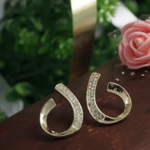Korean Gold Plated Exist Hoop Earring